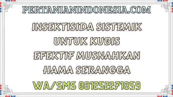Insektisida Sistemik Untuk Kubis Efektif Musnahkan Hama Serangga